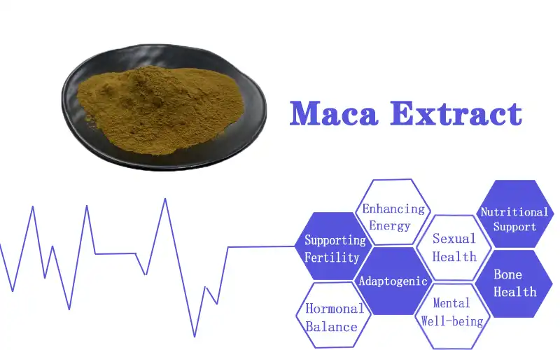 Maca Extract jpg.jpg